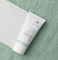Masque purifiant